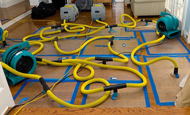 Professional Burst Pipe Water Damage technician working in Edwardsville, KS